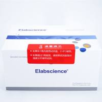 谷胱甘肽还原酶(GR)比色法测试盒_货号:E-BC-K099-M