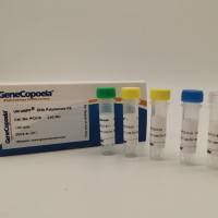 UltraHiPF™ DNA Polymerase DNA聚合酶