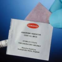 BR0055B赛默飞奥克欧德厌氧指示剂刃天青Thermo Oxoid 100片/盒