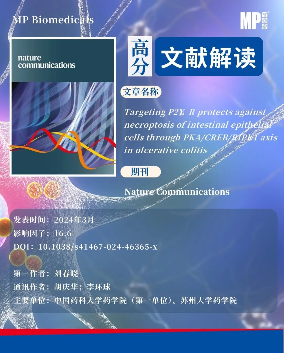 高分文献海报2.png 图片
