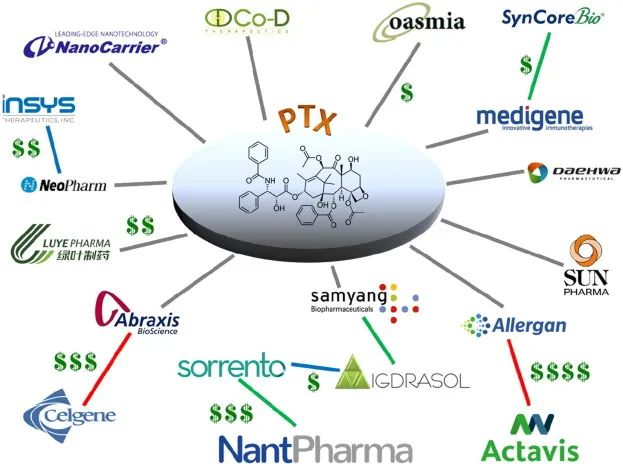 TargetMol明星分子—紫杉醇