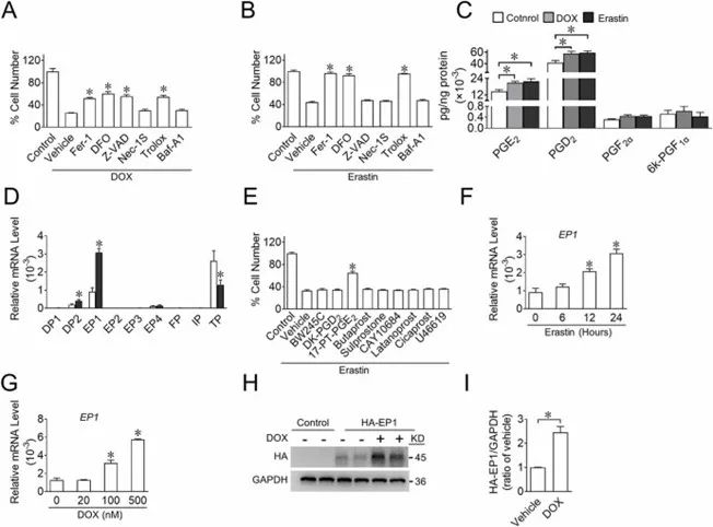 TargetMol明星分子——​Doxorubicin hydrochloride