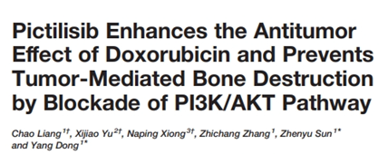 TargetMol明星分子——Doxorubicin hydrochloride