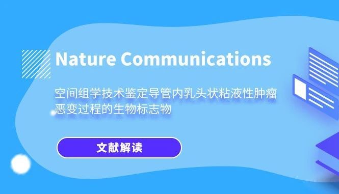 Nature Communications | 空间组学技术鉴定导管内乳头状粘液性肿瘤恶变过程的生物标志物