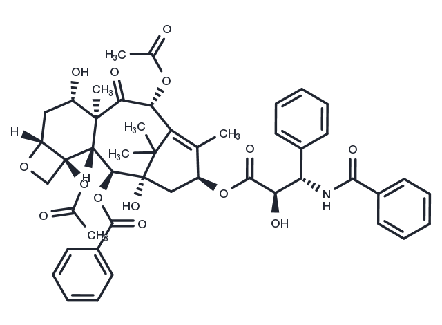 TargetMol明星分子—紫杉醇