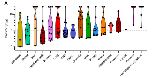 发现新型YAP1TAZ通路抑制剂,具有强效抗肿瘤效果!