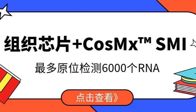 组织芯片+CosMx™ SMI（最多原位检测6000个RNA）让高性价比单细胞水平空间组学研究唾手可得
