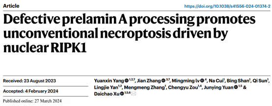 中科院团队揭示新型细胞核程序性坏死通路