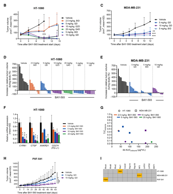 发现新型YAP1TAZ通路抑制剂,具有强效抗肿瘤效果!