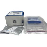 LabPAGE 预制胶4-20%12孔