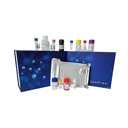 人ELISA试剂盒实验过程中的各种问题