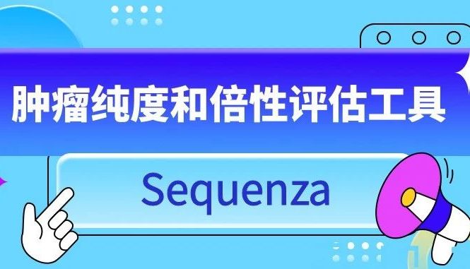 肿瘤纯度和倍性评估工具Sequenza