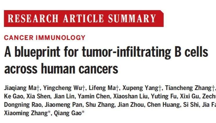 【客户文章解读】Science | 绘制人类癌症中肿瘤浸润B细胞的蓝图