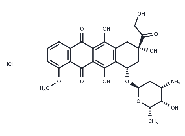 TargetMol明星分子——​Doxorubicin hydrochloride