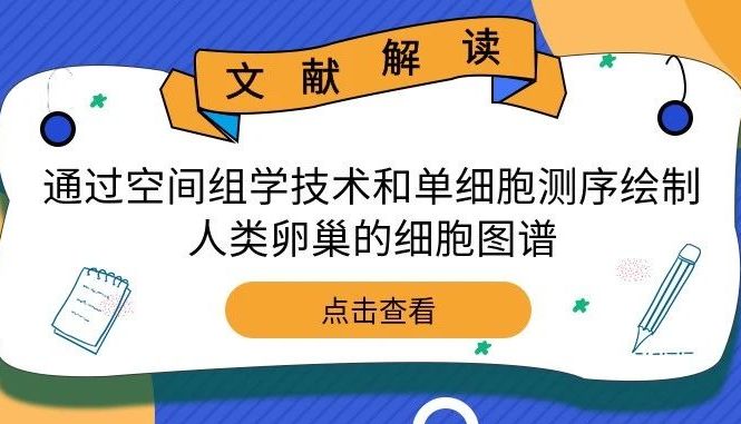 文献解读 | 通过空间组学技术和单细胞测序绘制人类卵巢的细胞图谱