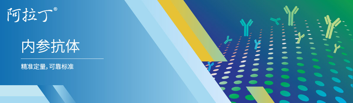 【阿拉丁】蛋白质印迹的上样对照