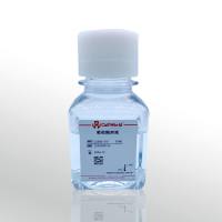 CellWorld 葡萄糖溶液  C2360-310 50ml