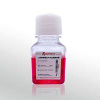 CellWorld 二倍体病毒生产无血清培养基 (SFM)  C2650-301 100ml