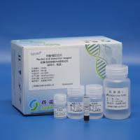 血清/血浆游离DNA提取试剂(磁珠法)