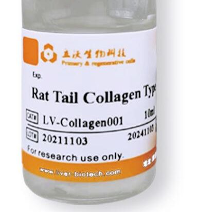 深圳立沃 I型鼠尾胶原  可试用；599元/ 10ml  买10ml 再送2ml