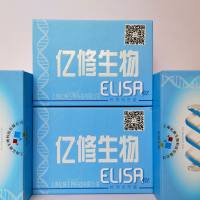 大鼠骨保护素配体(OPGL)ELISA试剂盒