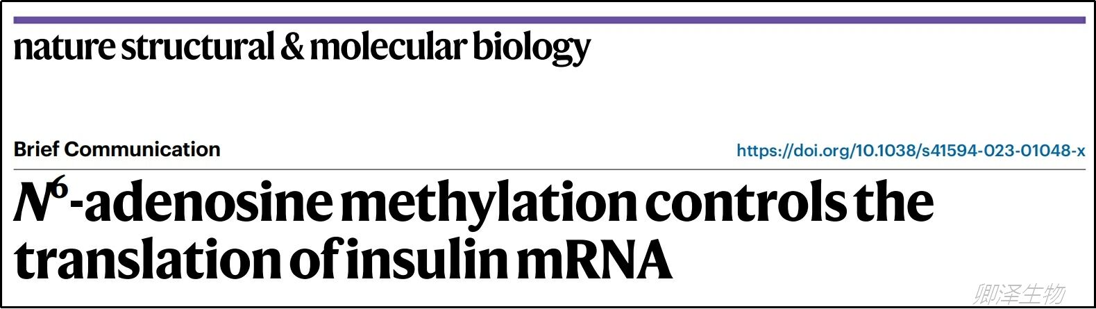 Nat Struct Mol Biol. | 能量稳态的m6A表观遗传调控中Polysome profiling的技术应用