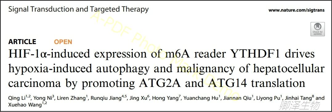 Signal Transduct Target Ther.| 肝癌中m6A表观遗传调控中Polysome profiling的技术应用