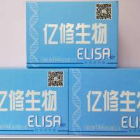 大鼠(CA)ELISA试剂盒