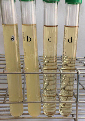 改良EC(mEC)增菌液的原理及使用方法