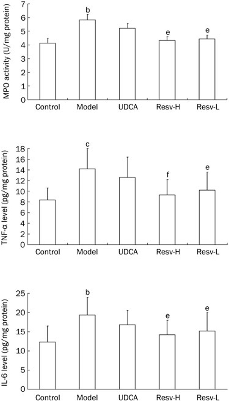LabEx ELISA平台助力研究白藜芦醇治疗肝损伤的潜在机制