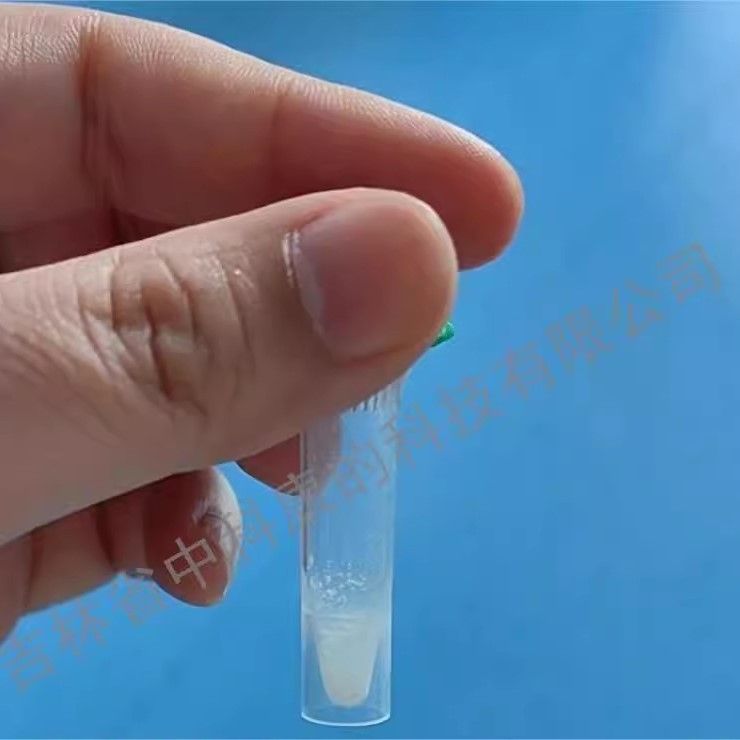 重组人表皮细胞生长因子(rh-EGF),Human EGF,His