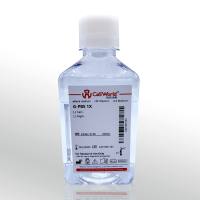 CellWorld G-PBS平衡盐溶液 1X C0362-315B