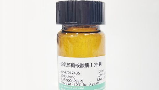 分子生物学实验“酶”使用指南