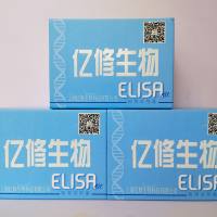 人颗粒溶素(granulysin)ELISA试剂盒