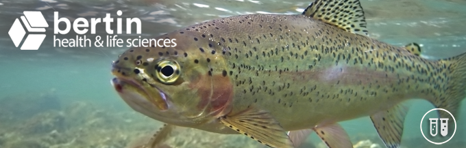 Precellys: 助力改善虹鳟健康的研究