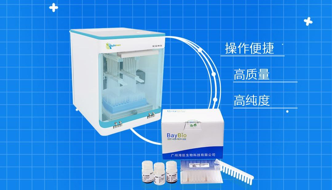 即使周六工作，质粒提取也能轻松搞定！