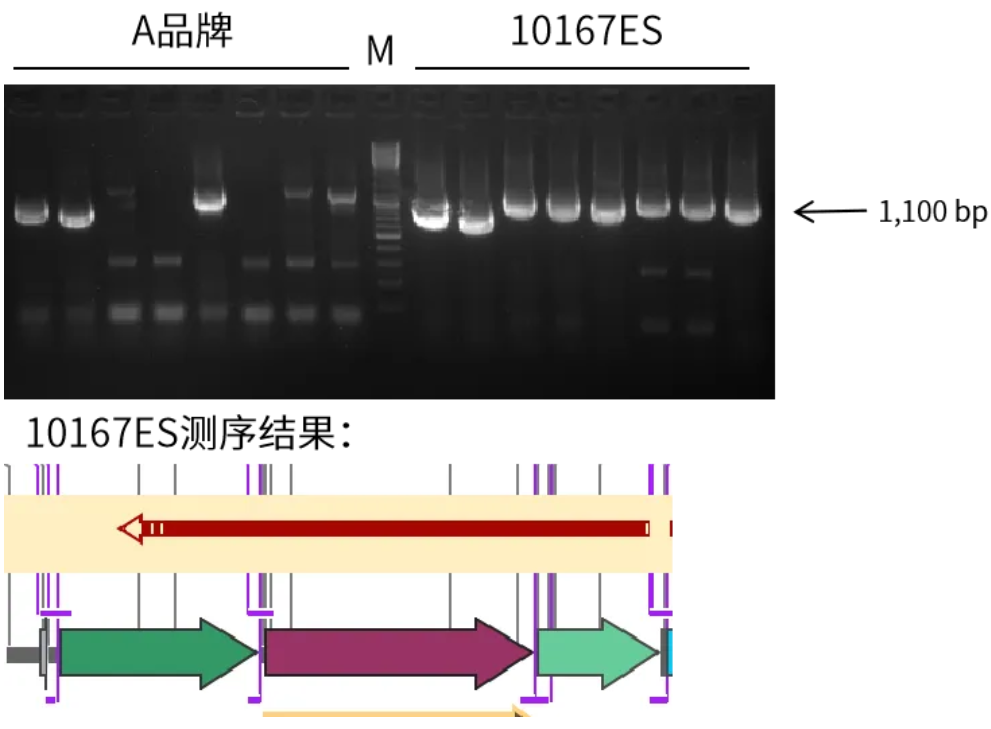 新闻图片11