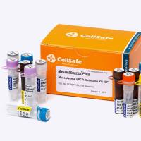 SafeDry支原体PCR检测试剂盒(冻干，预混8条)-SafeDry Mycoplasma PCR Detection Kit (lyophilized, premix 8 strip)