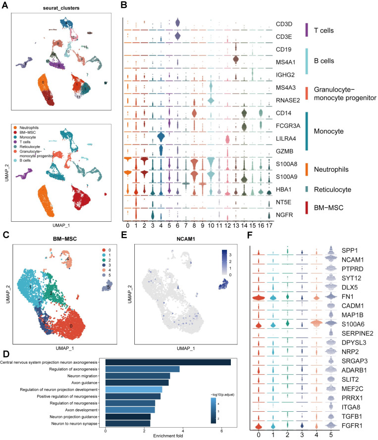 外泌体技术服务 外泌体技术服务