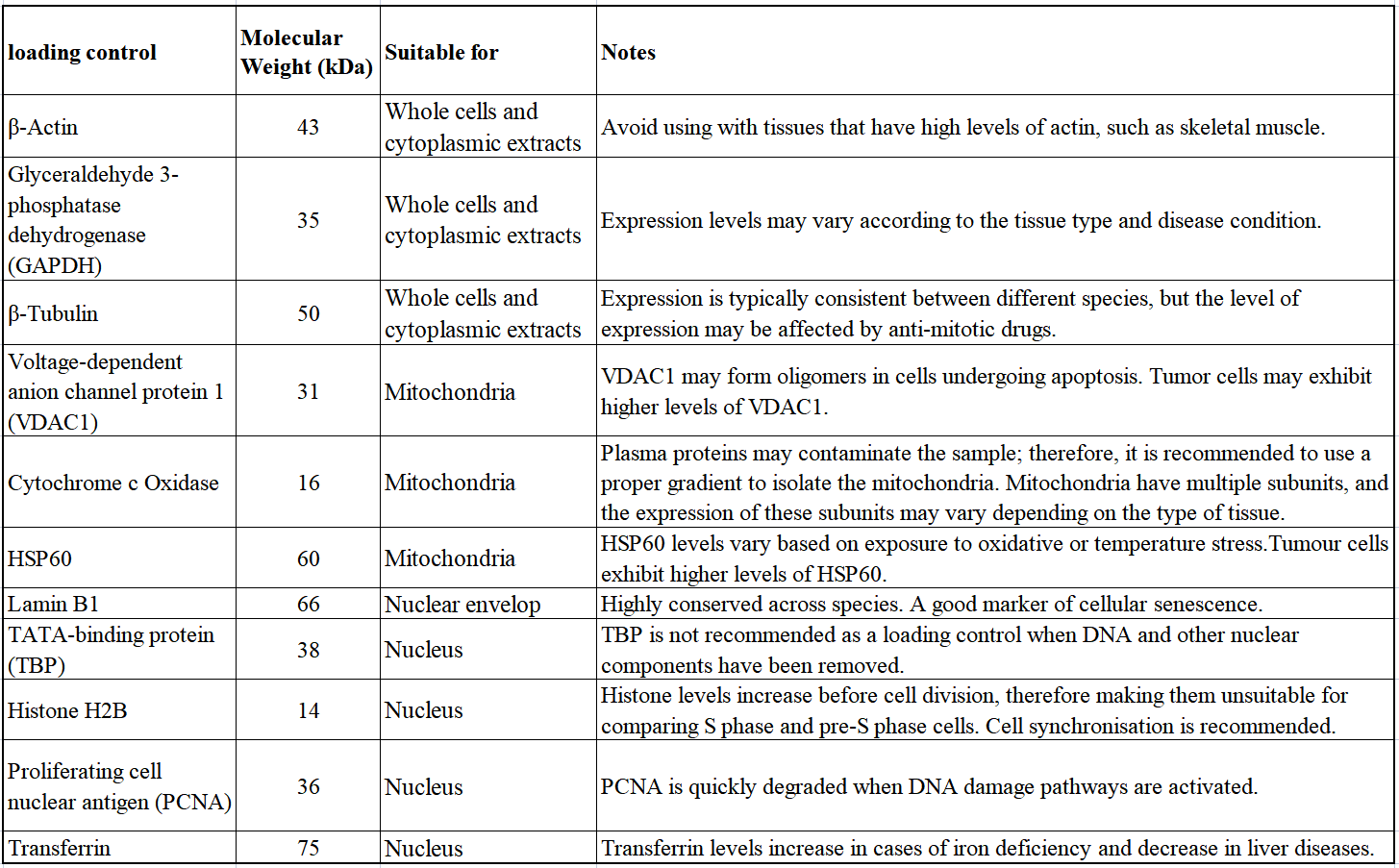 【阿拉丁】蛋白质印迹的上样对照