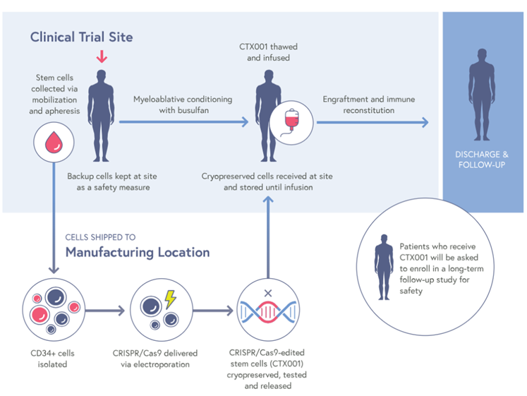 上新│Cas12a：CRISPR工具箱中的新星！