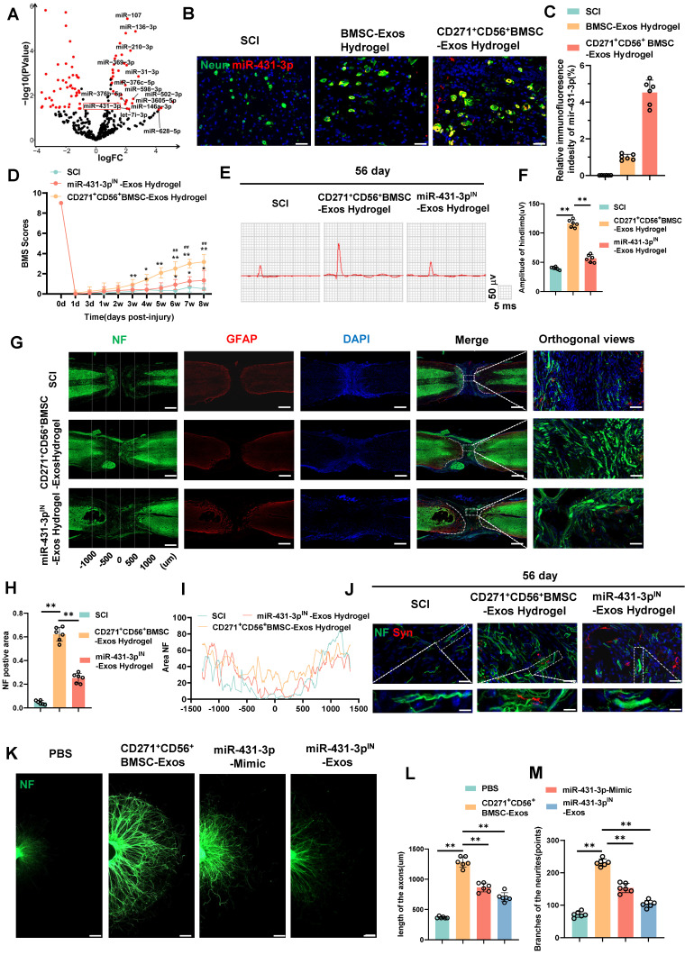 外泌体技术服务 外泌体技术服务