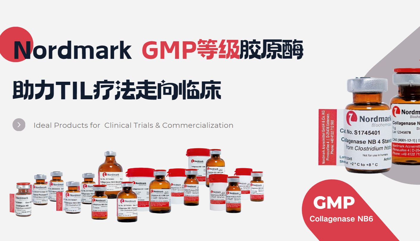 详解Nordmark GMP级胶原酶如何助力TIL疗法_曼博生物