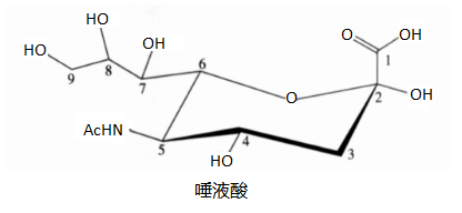 上海甄准鞘脂产品介绍