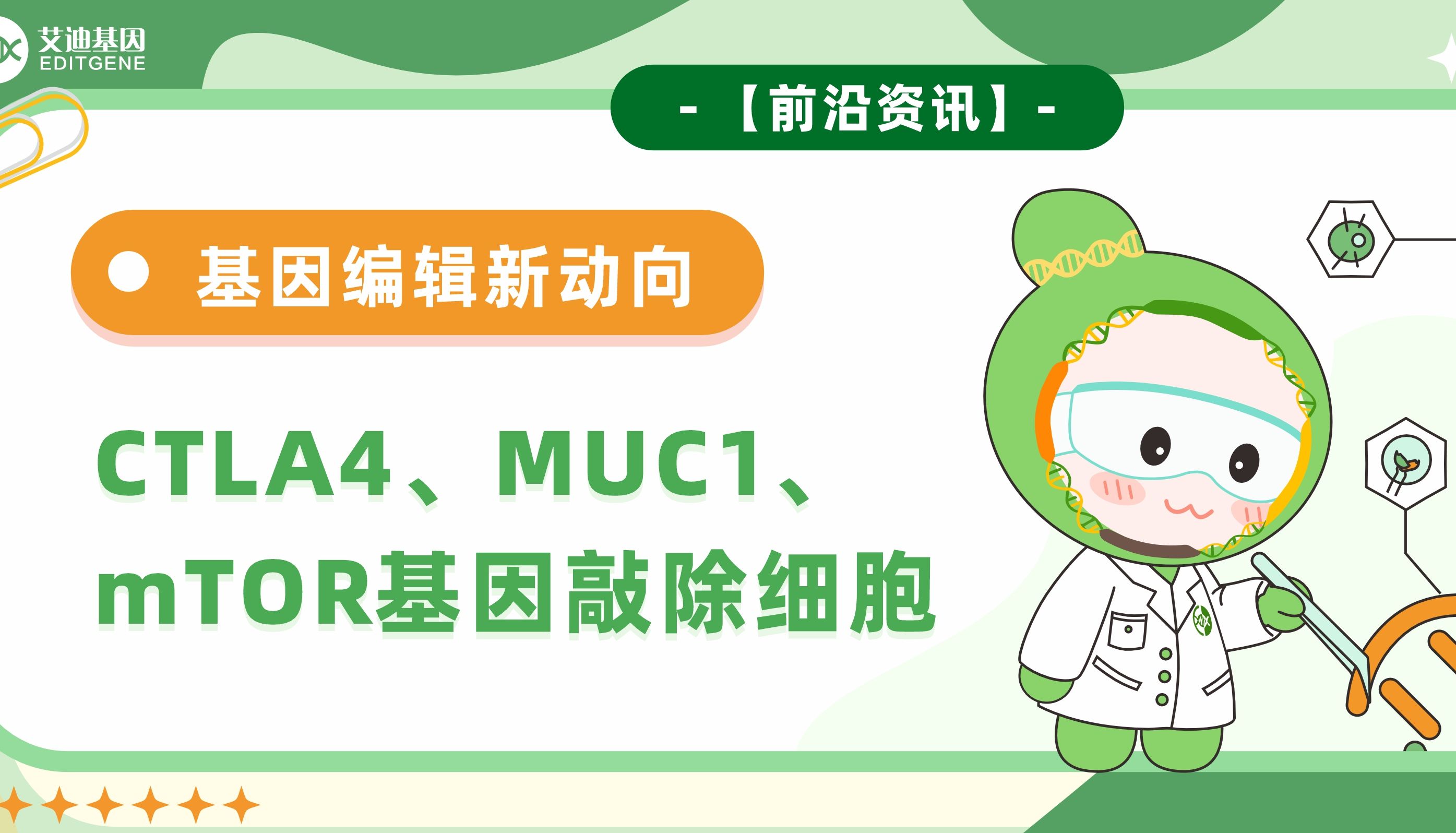【基因编辑新动向】CTLA4、MUC1和mTOR基因敲除细胞
