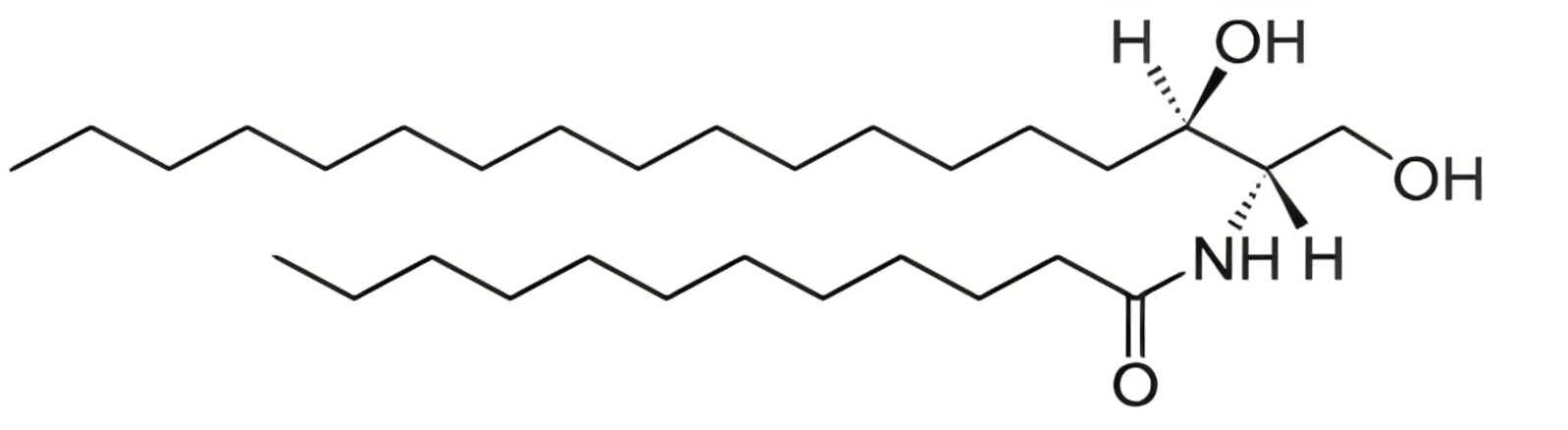 上海甄准鞘脂产品介绍