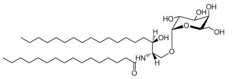上海甄准鞘脂产品介绍