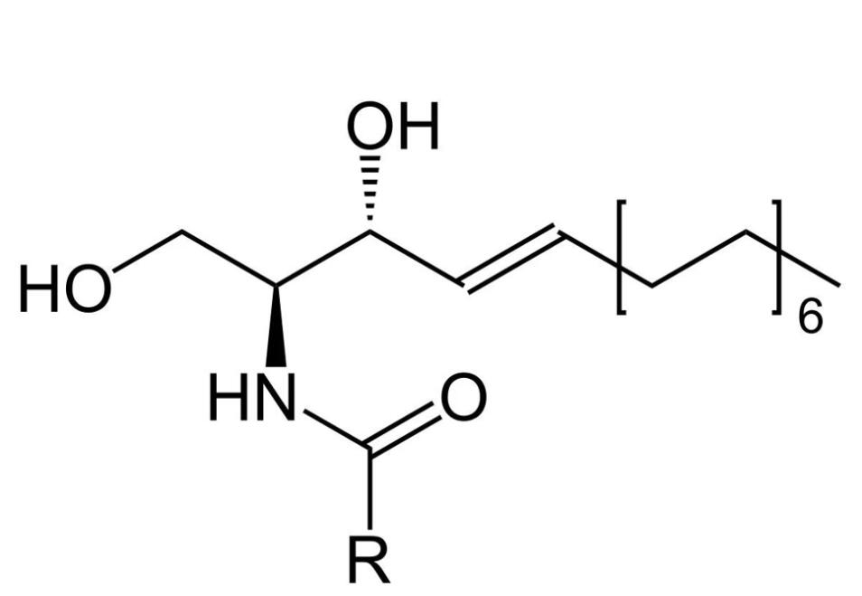上海甄准鞘脂产品介绍