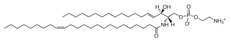 上海甄准鞘脂产品介绍