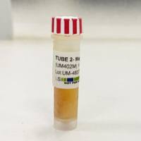 MNS（3,4-Methylenedioxy-B-nitrostyrene, MDBN）抑制剂-MDBN Inhibitor